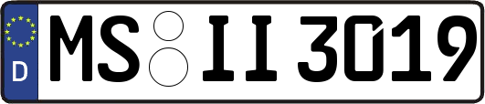 MS-II3019