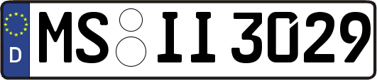 MS-II3029