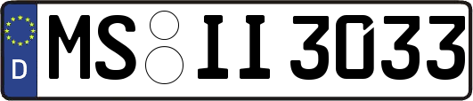 MS-II3033
