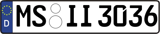 MS-II3036
