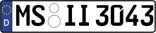 MS-II3043
