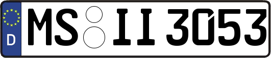 MS-II3053