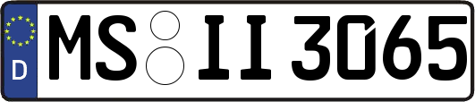 MS-II3065