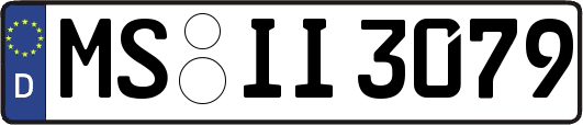 MS-II3079