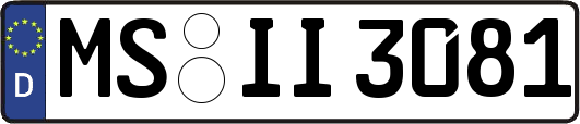 MS-II3081