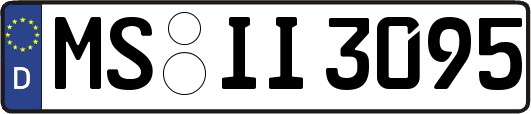 MS-II3095