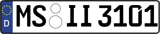 MS-II3101