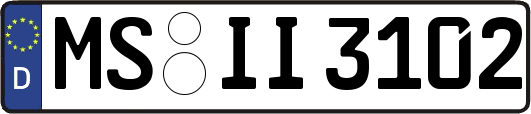 MS-II3102