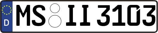 MS-II3103