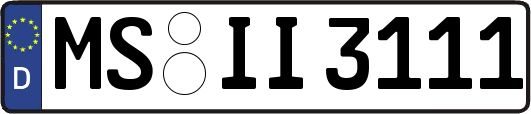 MS-II3111