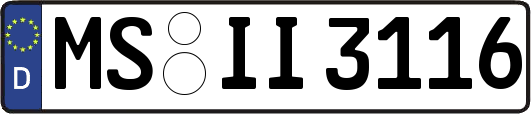 MS-II3116