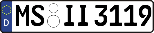MS-II3119
