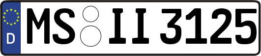 MS-II3125