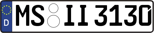 MS-II3130