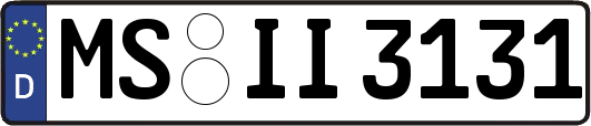 MS-II3131