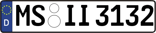 MS-II3132