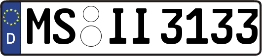 MS-II3133