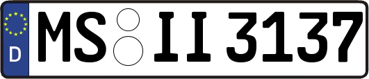 MS-II3137