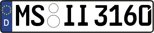 MS-II3160