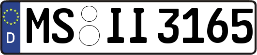 MS-II3165