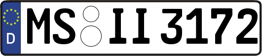 MS-II3172
