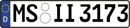 MS-II3173