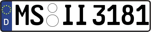 MS-II3181
