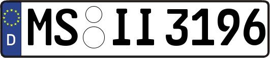 MS-II3196