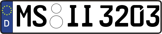 MS-II3203