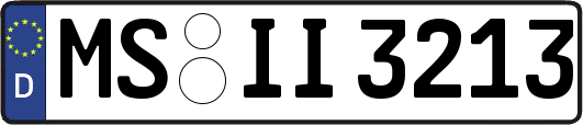 MS-II3213