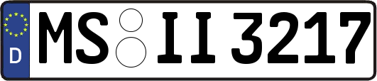 MS-II3217