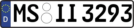 MS-II3293
