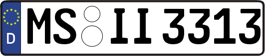 MS-II3313