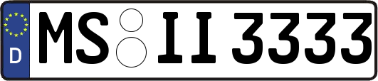 MS-II3333