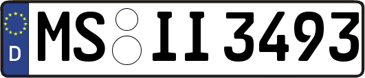 MS-II3493