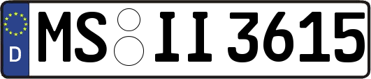 MS-II3615