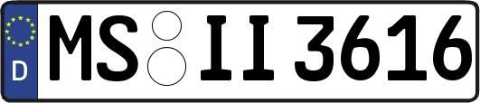 MS-II3616