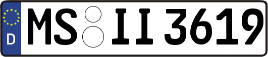 MS-II3619