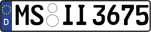 MS-II3675