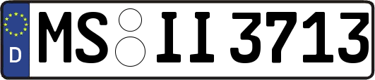 MS-II3713