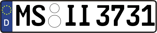 MS-II3731