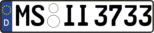 MS-II3733