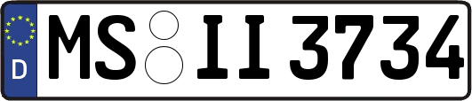 MS-II3734