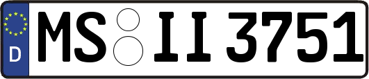 MS-II3751