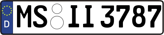 MS-II3787