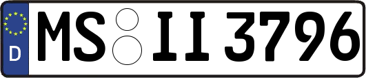 MS-II3796
