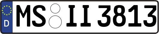 MS-II3813