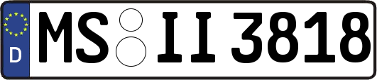 MS-II3818