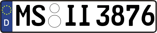 MS-II3876