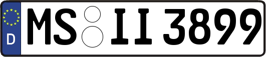 MS-II3899